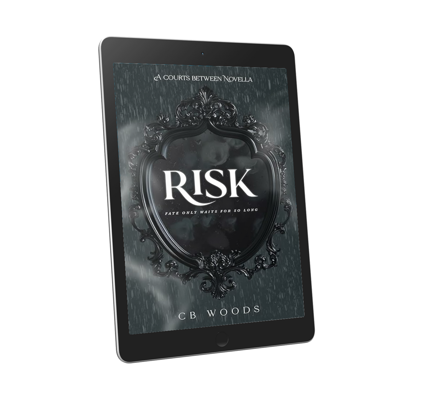 PRE-ORDER | Risk - eBook